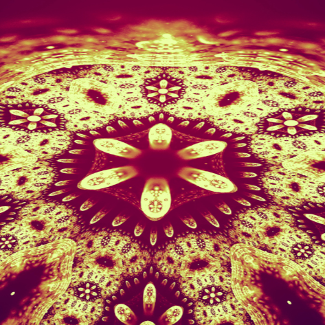Transformatietraject Inner Wisdom 6 maanden